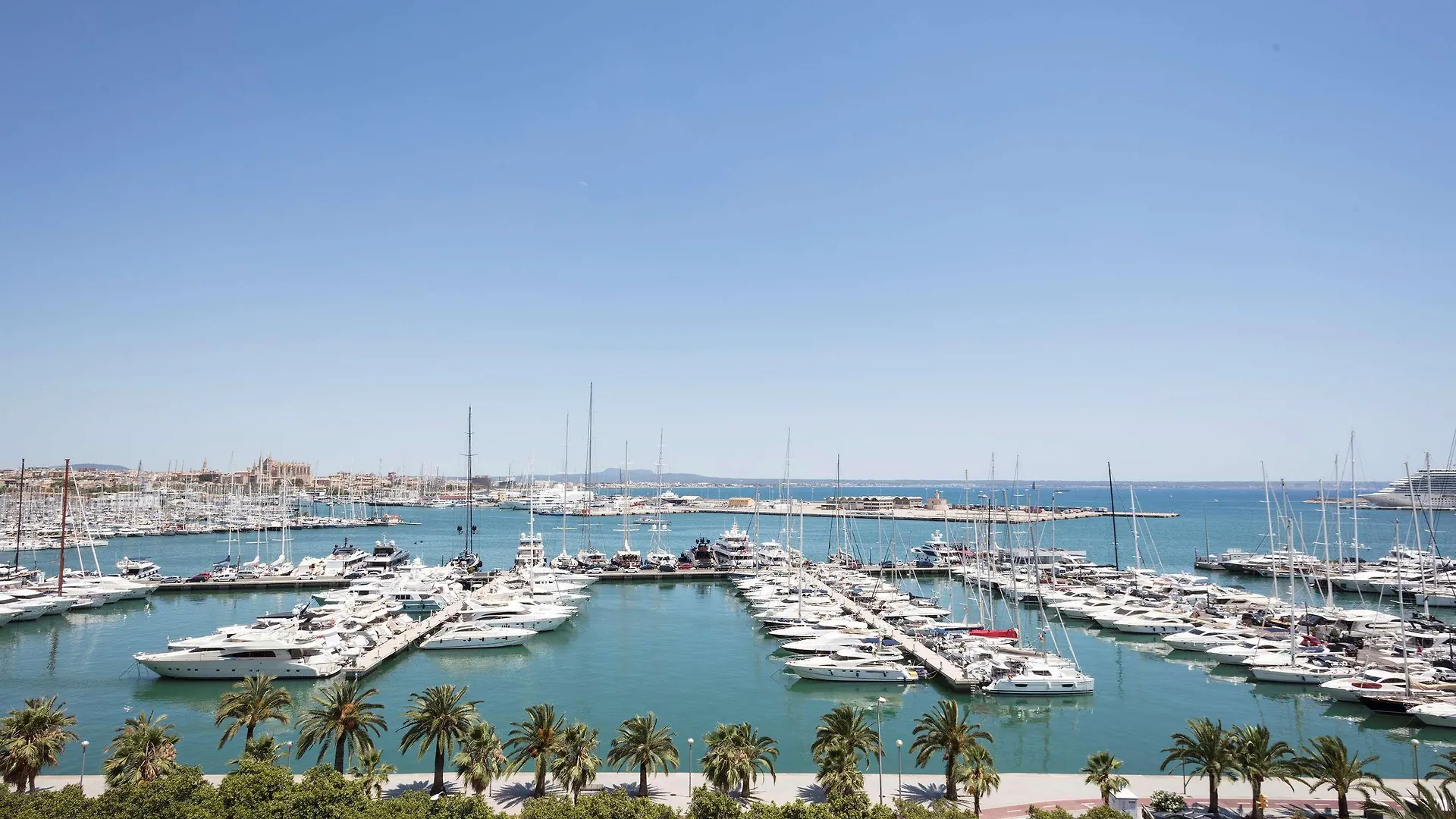 Hotel Melia Palma Marina